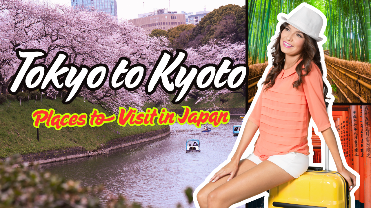Places to Visit in Japan